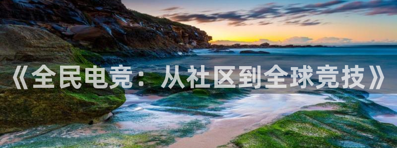 乐竞电竞官网入口：《全民电竞：从社区到全球竞技》
