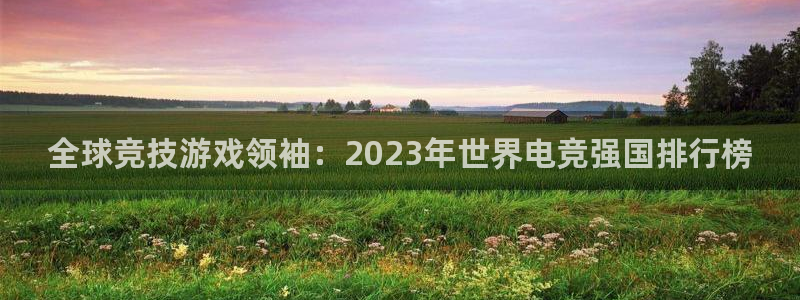 成都乐竞电竞青训基地：全球竞技游戏领袖：2023年世界电竞强国排行榜