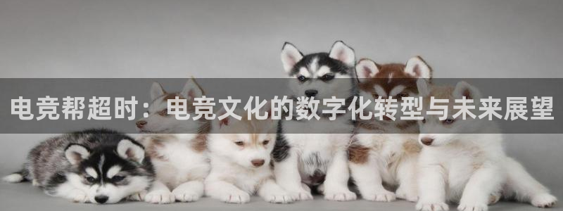 成都乐竞电竞青训基地：电竞帮超时：电竞文化的数字化转型与未来展望