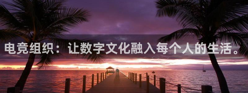 乐竞电竞体育官网