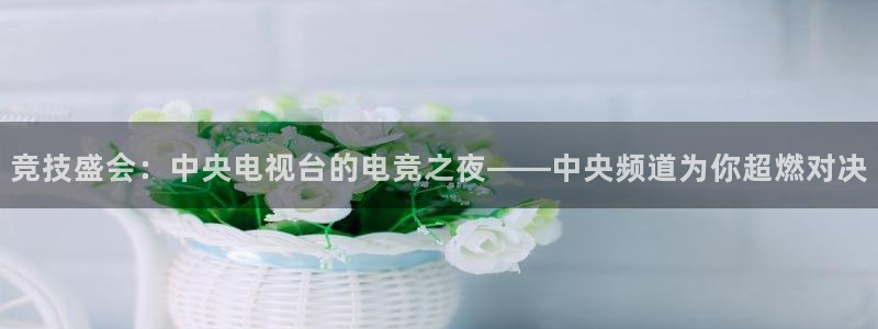 乐竞电竞app官方入口下载：竞技盛会：中央电视台的电竞之夜——中央频道为你超燃对决