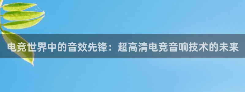 成都乐竞电竞：电竞世界中的音效先锋：超高清电竞音响技术的未来