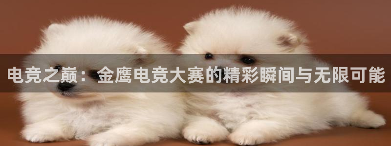 乐竞电竞青训基地怎么样：电竞之巅：金鹰电竞大赛的精彩瞬间与无限可能