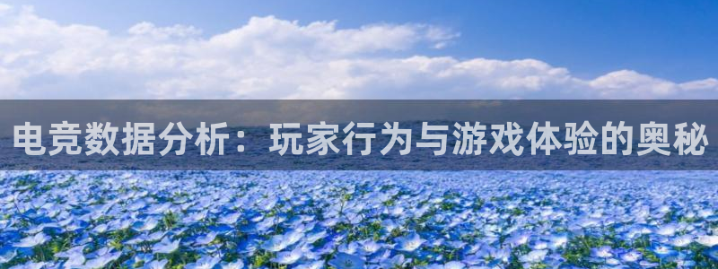 乐竞电竞锁定金额：电竞数据分析：玩家行为与游戏体验的奥秘
