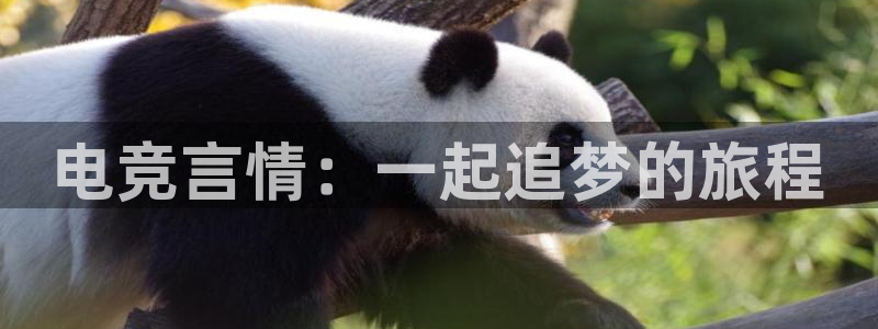 乐竞电竞官网首页：电竞言情：一起追梦的旅程