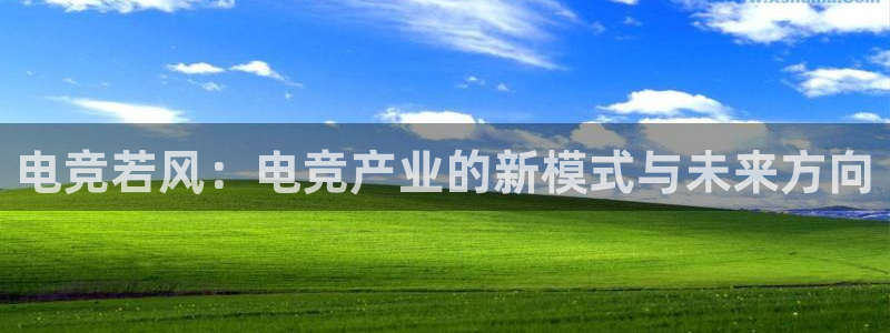 成都乐竞电竞青训基地：电竞若风：电竞产业的新模式与未来方向