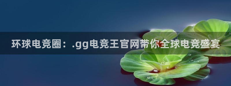 乐竞电竞app官方入口下载：环球电竞圈：.gg电竞王官网带你全球电竞盛宴